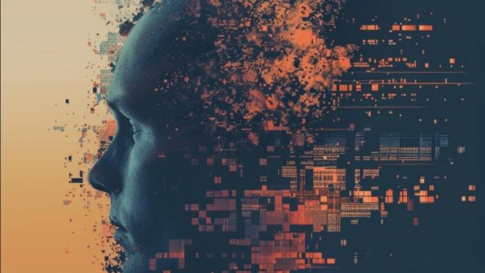 Stupidity And The 5 Laws Not To Follow