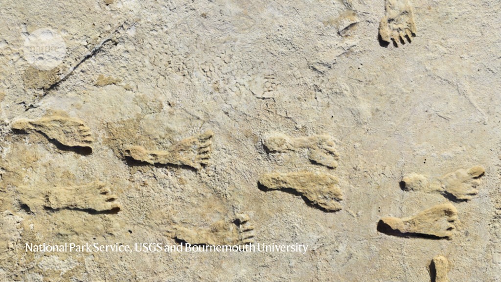 Ancient footprints could be oldest traces of...