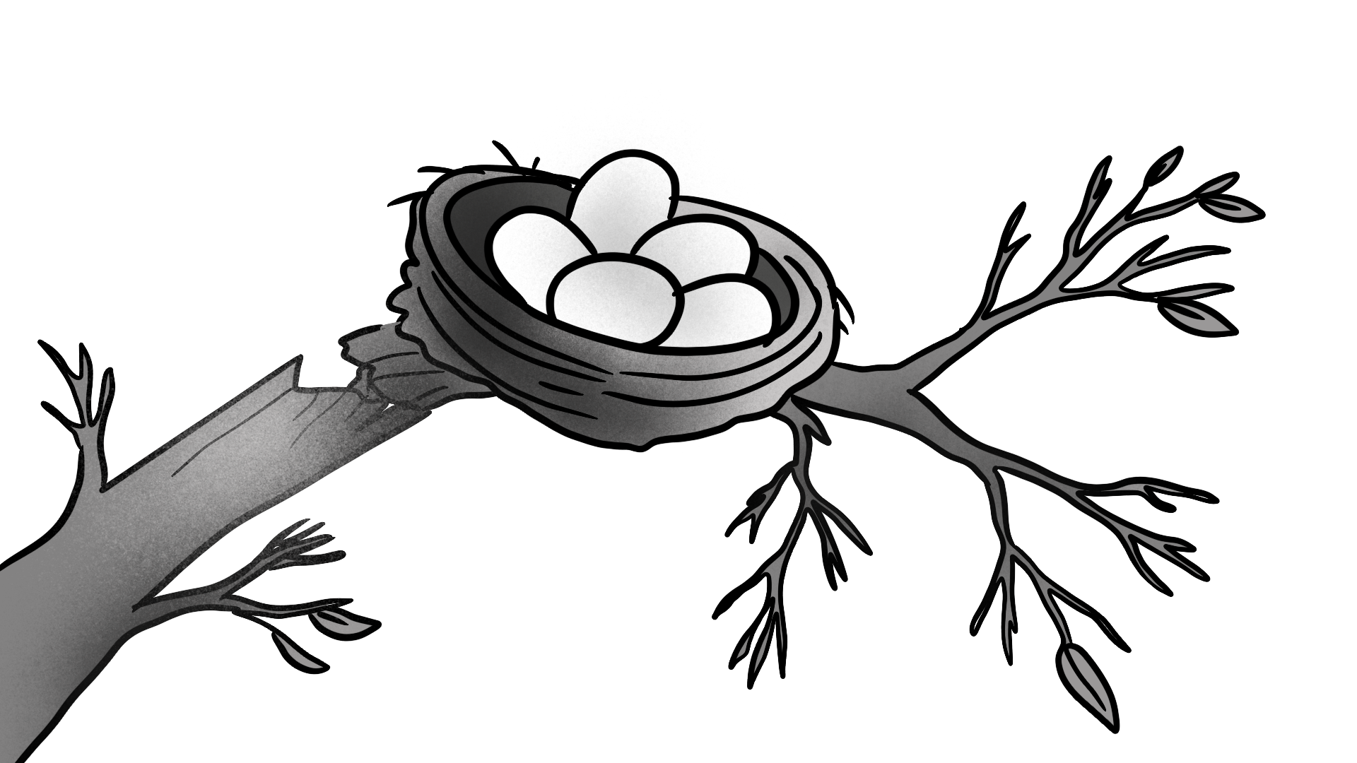 How Does the End Begin? | No Mercy / No Malice