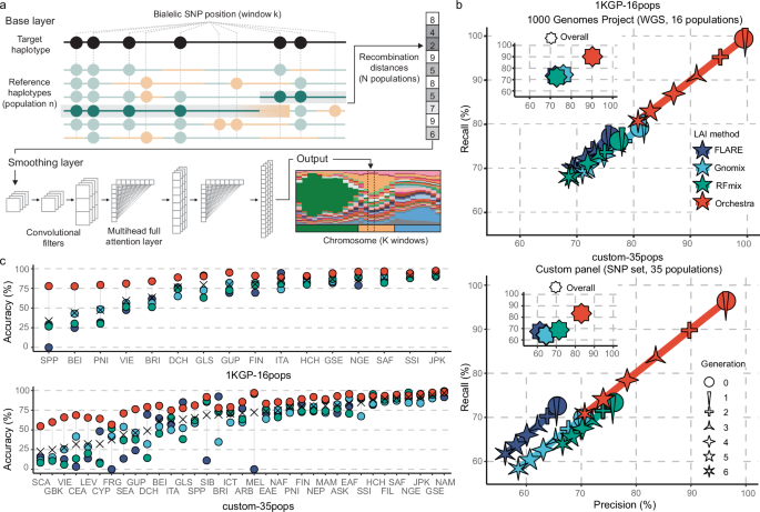 Tracing human genetic histories and natural selection with precise local ancestry inference - Nature Communications