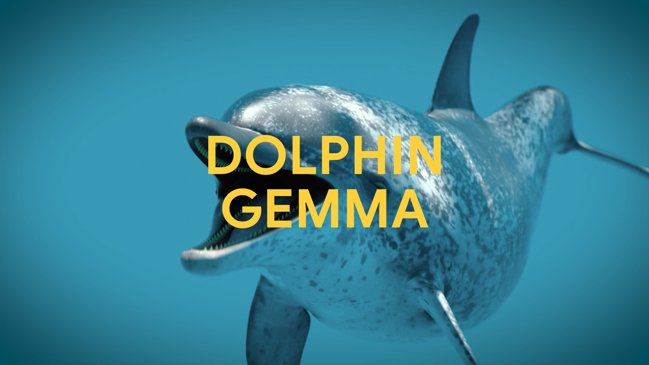 DolphinGemma: How Google AI is helping decode dolphin communication