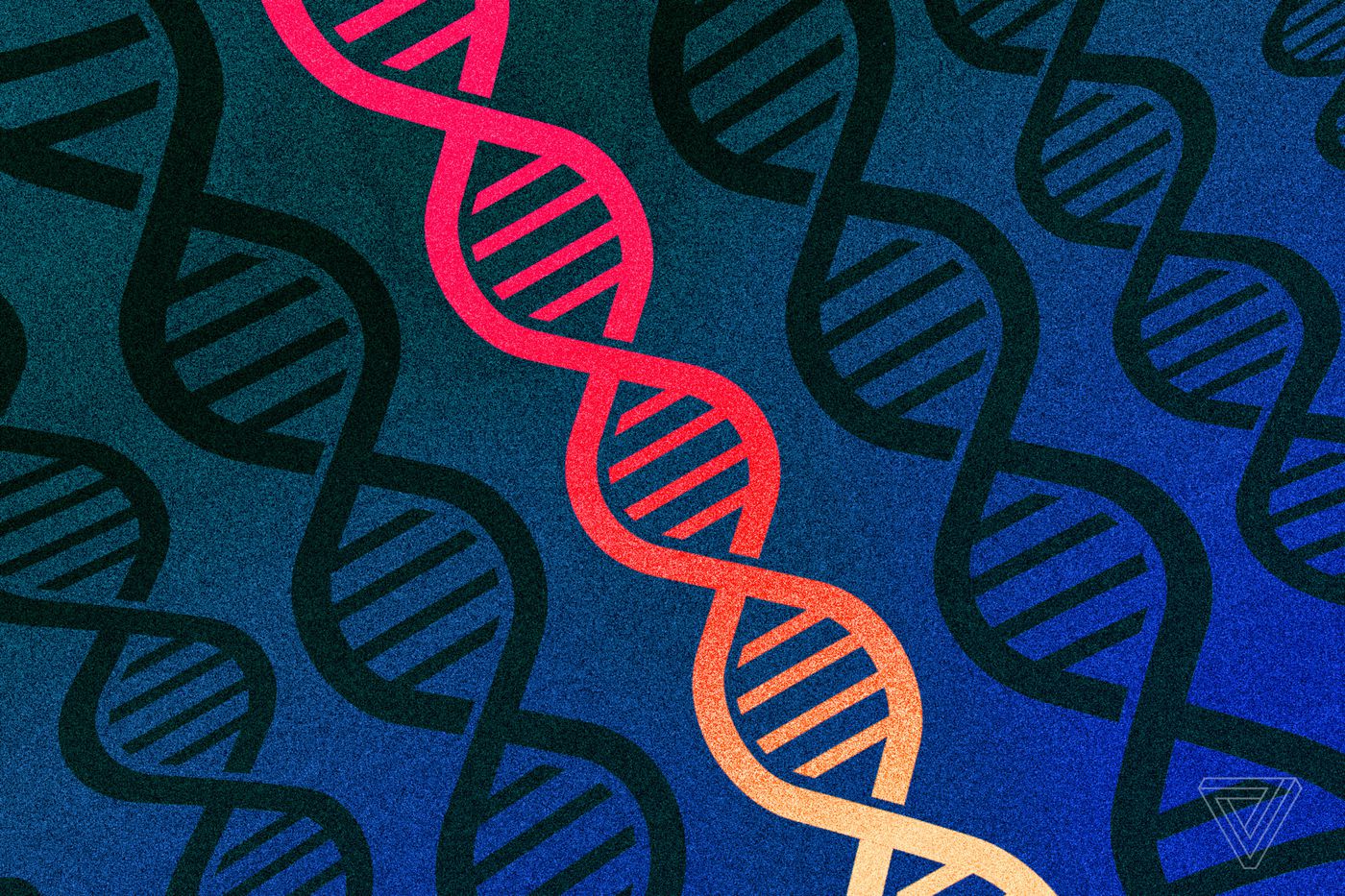 Scientists rename human genes to stop Microsoft Excel from misre