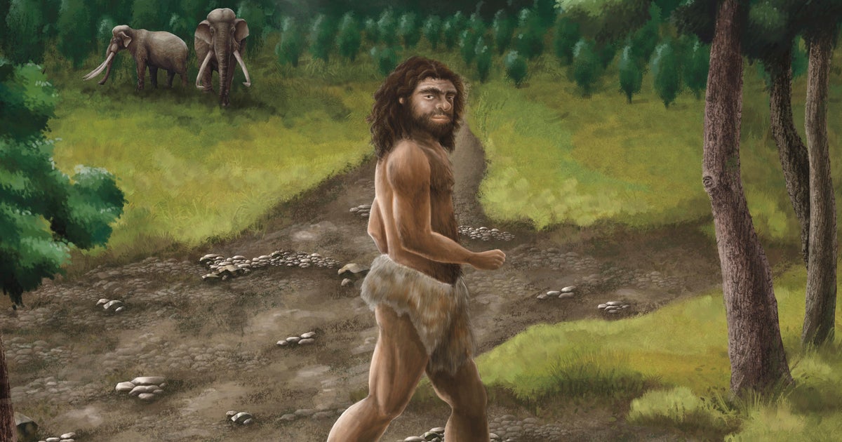 Ancient jawbone found in sea belongs to mysterious human ancestors, scientists say