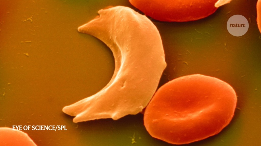 Quest to use CRISPR against disease gains ground