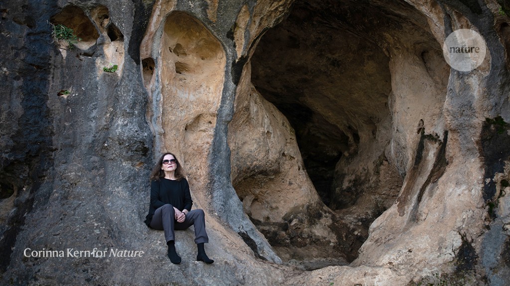 Sifting through half a million years of human history