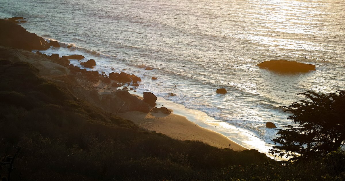 Does the Bitter Lesson Have Limits?